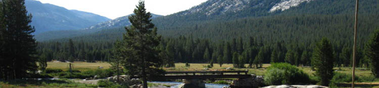 Tuolumne Meadows from Parsons Lodge